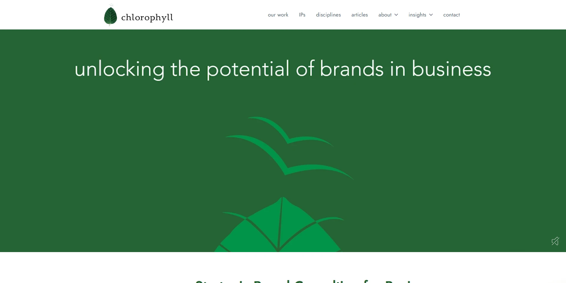 Chlorophyll — branding & design consultancy website built by Ayaan Sayyed